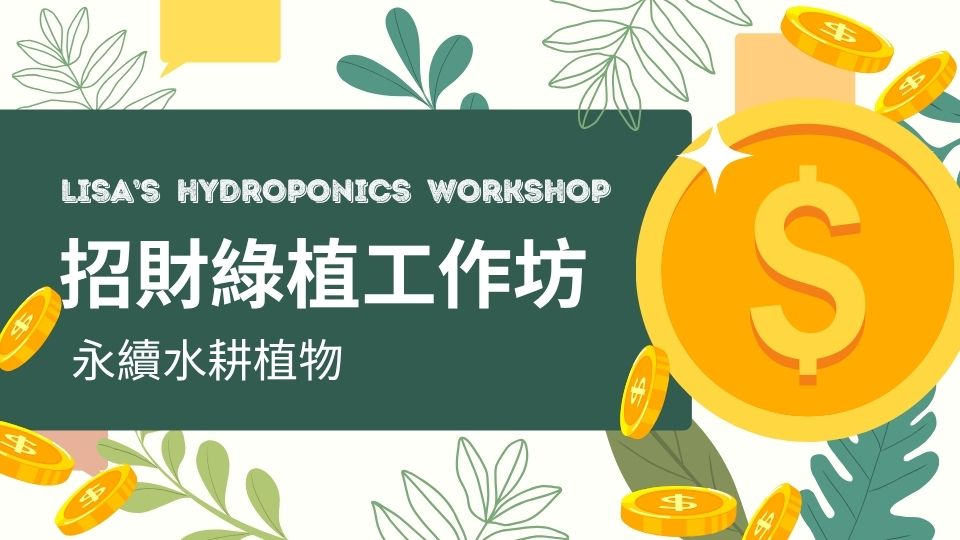 善076 招財綠植工作坊