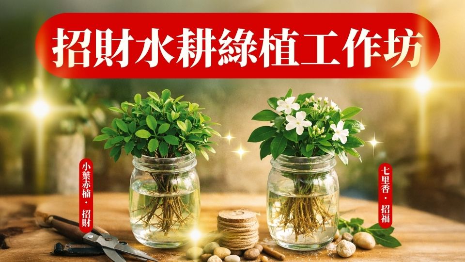  招財水耕綠植幸福工作坊-現場